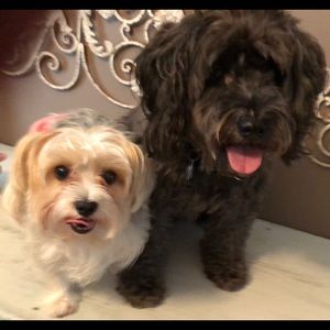 Meet your Posher, Kathy